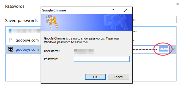 简单几步，无需主密码轻松查看Chrome已保存的密码插图2
