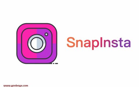 Instagram下载器 SnapInsta，支持IG全类型视频照片下载